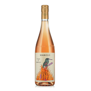 Grappa di Barolo 2019 Marolo da 70 cl