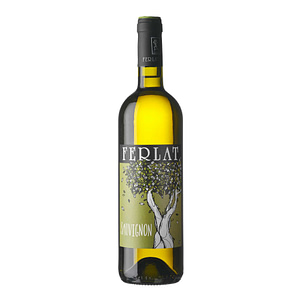 Ferlat Sauvignon Blanc vino bianco friulano da Sauvignon Blanc