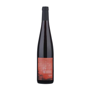 Bottiglia di Infrarouge Pinot Noir del Domaine Kumpf et Meyer