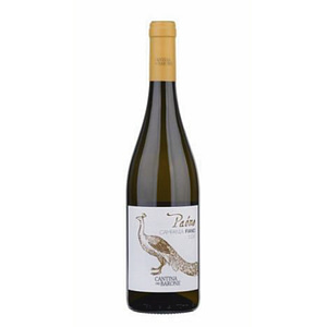 Bottiglia di Paone Fiano 2023 Cantina del Barone