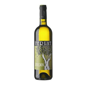 Bottiglia di Sauvignon 2025 Ferlat